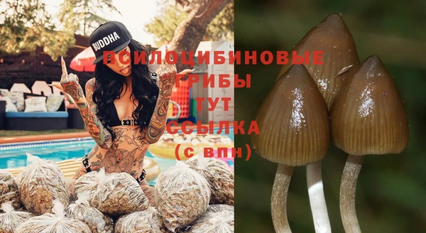сатива Каменск-Шахтинский