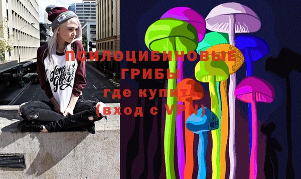 прущие крисы Инта