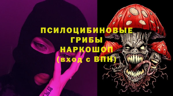 сатива Каменск-Шахтинский